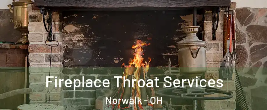  Fireplace Throat Services Norwalk - OH